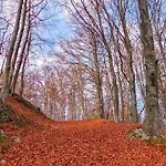 Villa Mare&Monti Istra