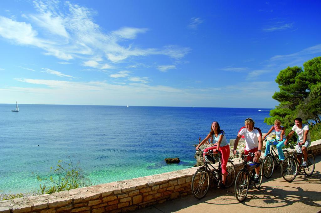 Villa Mare&monti Istra *
