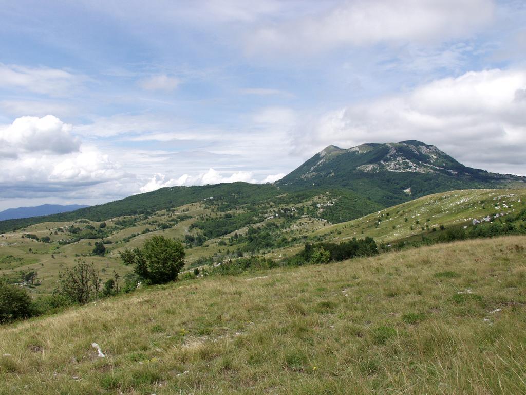Villa Mare&monti Istra